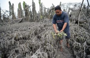 Volcano eruption won’t hit Philippines GDP, says Economist