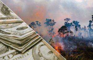 Top investment manager says climate crisis could reshape finance