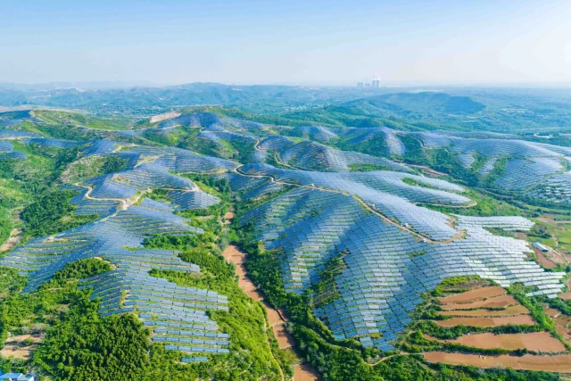 Brunei blue carbon credits