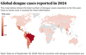 Argentina Dengue Outbreak Hits 215,885 Cases Aedes aegypti mosquito on human skin, symbolizing the dengue virus transmission in Argentina's 2024 outbreak