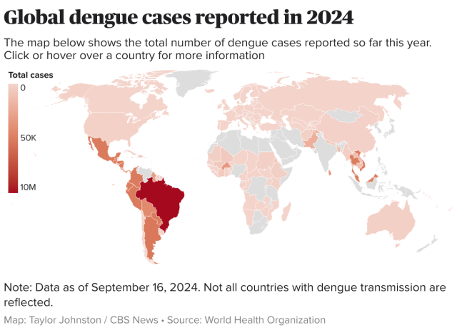 Argentina Dengue 2024 Outbreak Infographic Aedes aegypti mosquito on human skin, symbolizing the dengue virus transmission in Argentina's 2024 outbreak