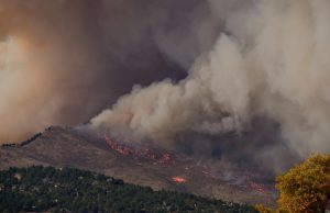 2025 Canadian Wildfires Burn 50% Area in Manitoba, Saskatchewan Wall of orange flame advances toward a prairie road as firefighters spray hoses under smoke-filled skies.