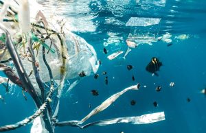 UN Plastics Treaty Stalls After Six Rounds of Talks Delegates at a UN conference table review a draft treaty document filled with bracketed disputed text.