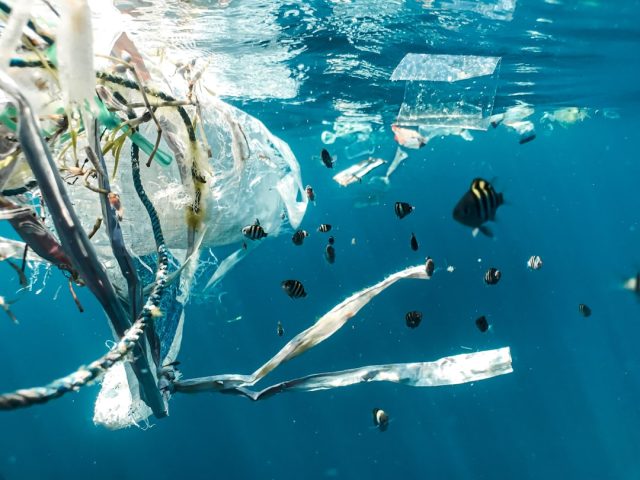 UN Plastics Treaty Stalls After Six Rounds of Talks, Lobbyists and Disputes Remain Delegates at a UN conference table review a draft treaty document filled with bracketed disputed text.