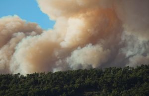 Lahaina Maui Wildfire Kills 93, Deadliest US Blaze Since 1918 Charred ruins of Lahaina’s Front Street with the blackened 1873 banyan tree skeleton standing amid ash and collapsed buildings after wildfire.