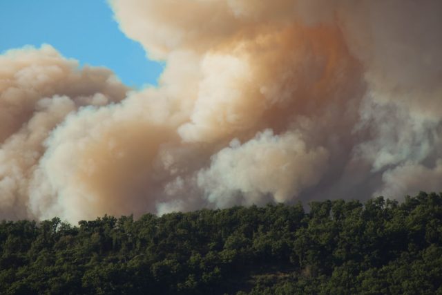 Maui Wildfire Death Toll Reaches 93, Deadliest Since 1918 Charred ruins of Lahaina’s Front Street with the blackened 1873 banyan tree skeleton standing amid ash and collapsed buildings after wildfire.