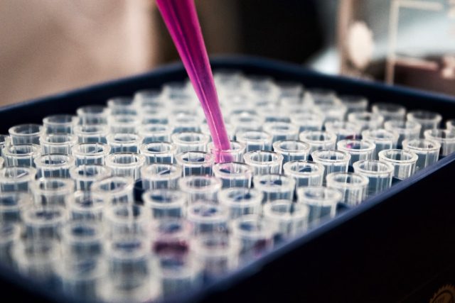 AlphaFold 3 Can Predict Structures and Interactions of All Biological Molecules Researchers at Google DeepMind analyze AlphaFold 3 predictions of protein and DNA interactions on a computer screen.