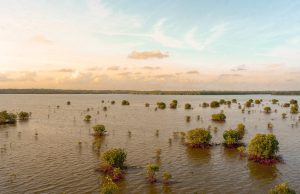 Swiss Alps Flood Kills One, Exposes Plateau Risk Brown torrent races through a narrow Swiss valley toward dense plateau villages after Alpine storm.