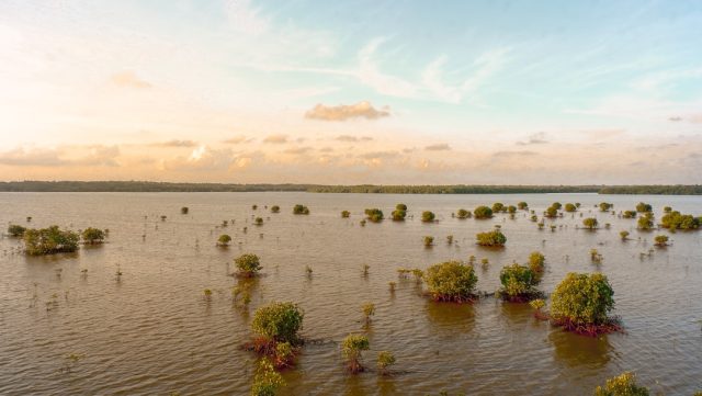 Swiss geography becomes liability after deadly June 23 floods sweep southern region Brown torrent races through a narrow Swiss valley toward dense plateau villages after Alpine storm.