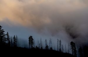 NWS Issues ‘Particularly Dangerous’ Fire Warning A wildfire rages across a hillside in Ventura County, with flames consuming dry vegetation under a smoky sky.