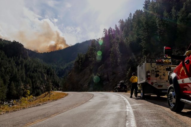 Cal Fire Director's tenure sees Palisades and Eaton fires reach major containment milestones Firefighters battle a wildfire in a California forest, with smoke rising above trees and containment lines visible in the foreground.