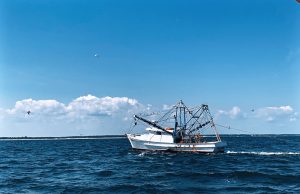 Philippines Ends Search for 13 Capsized Fishing Crew Empty fishing boats docked at a harbor in Santa Ana, Cagayan, Philippines, after the search for the FB Jobhenz crew ended.