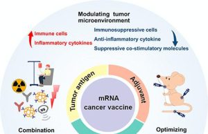 Groundbreaking Cancer Vaccine Shows Rapid Response Against Aggressive Brain Tumors Mrna Cancer Vaccine Brain Tumor