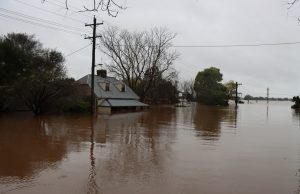 Pakistan Monsoon Floods Kill 55, Including 8 Children Floodwaters engulf a residential area in Pakistan during the monsoon season, with submerged homes and debris visible.