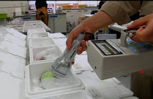 Philippines Lifts Fukushima Food Import Restrictions Philippine and Japanese flags displayed at a trade meeting, symbolizing the lifted import restrictions on Fukushima food products.