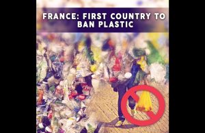 Thailand, France, Mexico Ban Single-Use Plastics A pile of discarded plastic bags and debris on a beach near ocean waves, illustrating marine pollution from single-use plastics.