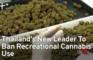 Thailand to Ban Recreational Cannabis by 2024 Thai Health Minister Cholnan Srikaew speaks at a press conference about the new cannabis regulations.