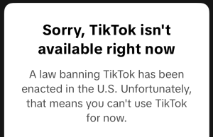 US Bans TikTok Nationwide Over China Security Fears TikTok app icon displayed on a smartphone screen with a blurred background of American flags