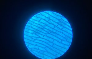 New Hypothesis Suggests Mineral Nanoparticles Preceded Life’s Chemistry New Hypothesis Suggests Mineral Nanoparticles Preceded Life’s Chemistry