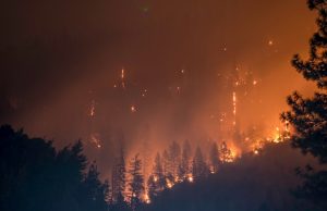 Greek Wildfire Evacuates Five Border Villages Smoke rising from a wildfire near a village in northeastern Greece as residents flee their homes.