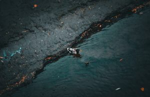 Singapore Port Oil Spill Hits Southern Islands Beaches Oil slick spreading across the water near Singapore's Pasir Panjang Terminal after a dredger collided with a bunker vessel.