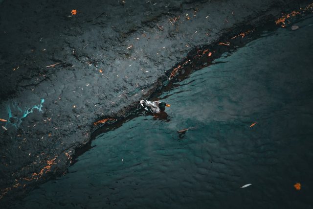 Singapore port density blamed for June 14 dredger collision and oil spill Oil slick spreading across the water near Singapore's Pasir Panjang Terminal after a dredger collided with a bunker vessel.