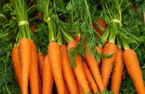 E. coli Outbreak Kills 1, Sickens Dozens Via Carrots A pile of organic carrots on a wooden table with a CDC investigation notice in the background.