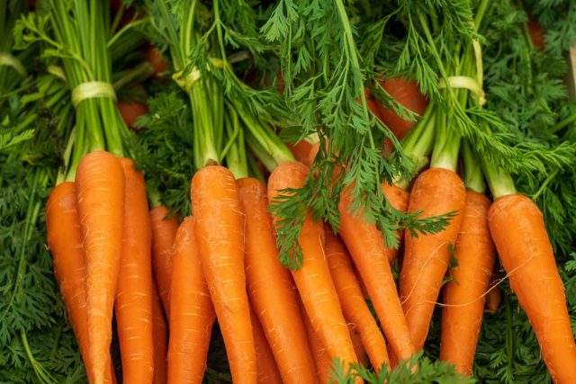 FDA and CDC Investigate Deadly E. coli Outbreak Linked to Organic Carrots A pile of organic carrots on a wooden table with a CDC investigation notice in the background.