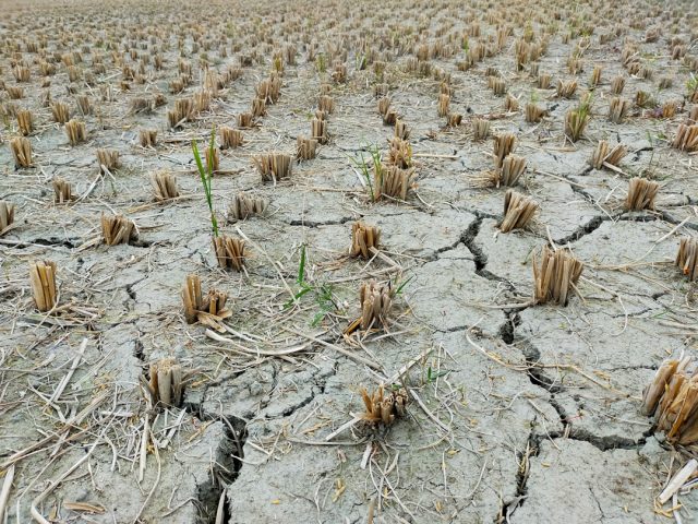 UN Warns Nearly 500,000 Somali Children Face Death Without Urgent Aid Emaciated Somali child receiving medical treatment at a nutrition clinic in a drought-affected region