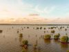 Storm Kills 104 in India’s Uttar Pradesh Aerial view of damaged thatch homes and flattened crops in rural Uttar Pradesh after a severe storm