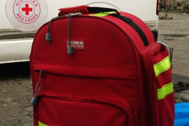 How to Build a Budget-Friendly Home Emergency Kit: Expert Guidelines for Year-Round Preparedness with Cost Estimates Under $150
