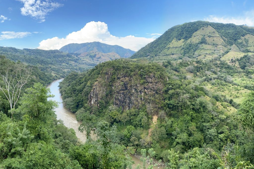 Latin America Again Deadliest for Land, Environmental Defenders