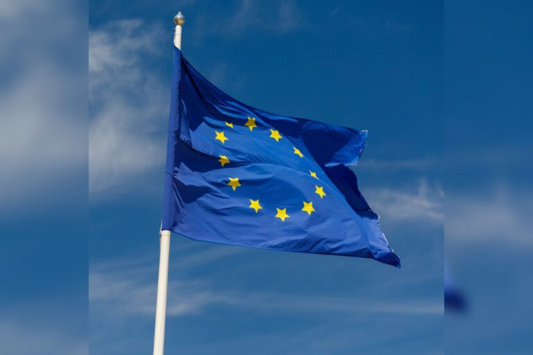 EU Digital Services Act targets platforms with over 45 million users