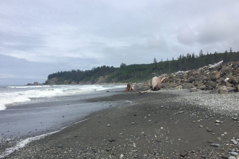 Quinault Nation Begins First Washington Subsea Cable Station Since 1999